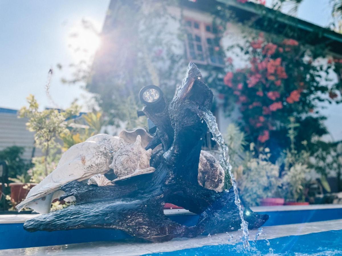 Cool Breeze Authentic Hotel Labuan Bajo Komodo エクステリア 写真